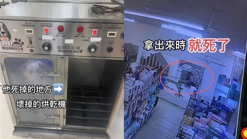 台中一名飼主把愛貓送去寵物美容店洗澡，等到的卻是貓咪死亡的消息。（圖／翻攝自Thread @zhangliying900）