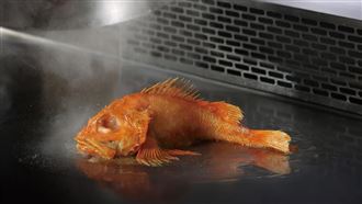 賞海味！王品牛排送「700元鮑魚鮮蝦盤」