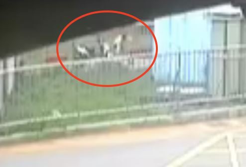 短短44秒內猛刺31刀,顏女當場鮮血直流,過程中顏女還試圖逃跑,不料少年直接朝著她背部刺入,顏女最終無力反抗倒臥血泊中。(圖/翻攝畫面) (圖/翻攝畫面)