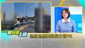 民進黨台北市議員林延鳳。（圖／翻攝自新台派上線）