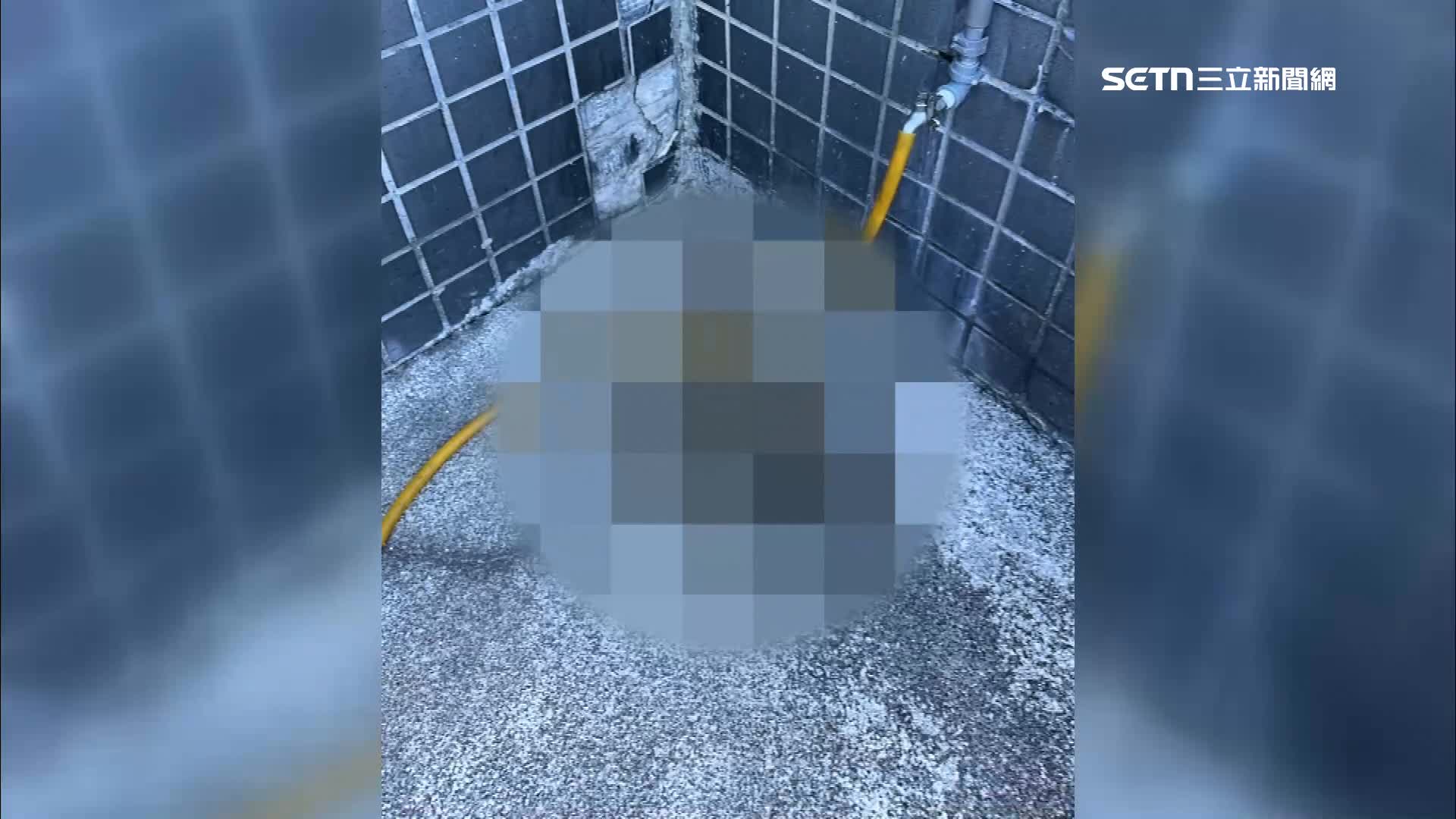 男子還隨意大小便