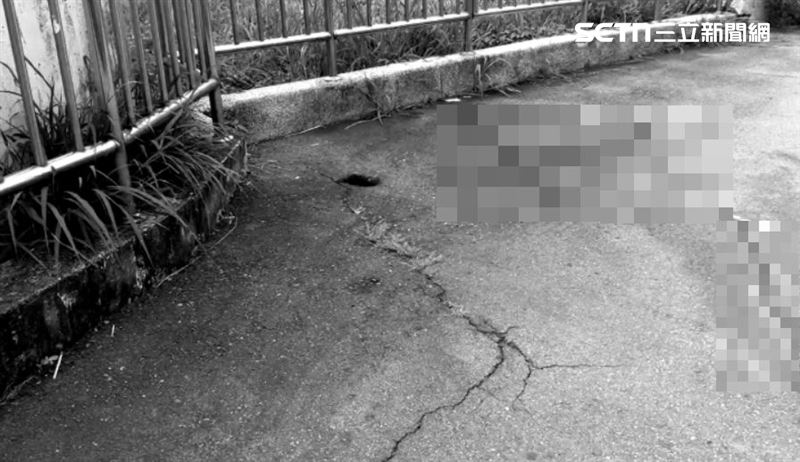 命案現場留下大片血痕，顏姓女大生挑染的一撮粉色髮絲還遺留在現場。(圖／翻攝畫面)