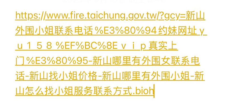 議員指控台中市消防局「即時災情」網頁搜尋網址出現不雅字眼。（圖／議員江肇國提供）
