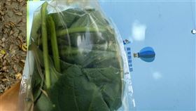 台東,卑南鄉,大花曼陀羅,乙醯膽鹼中毒,3姊妹。（圖／翻攝畫面）