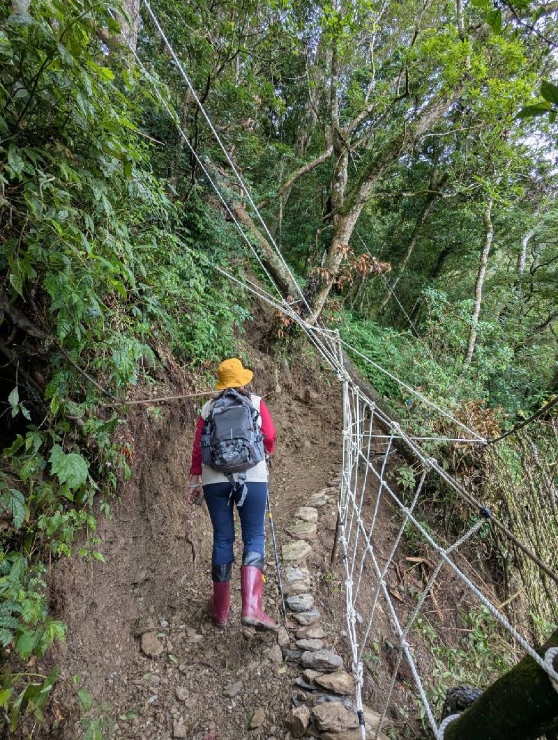 北大武山步道受鳳凰颱風來襲影響暫時封閉。（林業及自然保育署屏東分署提供）