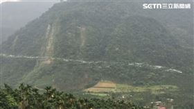 「銀龍」現蹤嘉義！竟是超壯觀「萬鷺朝鳳」。（圖／網友授權提供，未經同意請勿轉載）