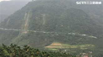 「銀龍」現蹤嘉義！萬鷺朝鳳超壯觀畫面曝