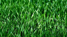 寫永續報告不能再亂寫！KPMG提醒，2026年起台灣上市櫃公司將強制揭露ESG資訊，還要董事會蓋章背書，若內容誇大或不實，恐面臨「漂綠」爭議，不只損商譽，還可能惹上官司。金管會也將推永續報告數位化與驗證制度，企業得盡早因應，避免踩雷。（示意圖／PIXABAY）