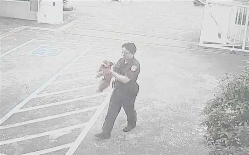 值班員警將貴賓犬抱進所內。（圖／翻攝畫面）