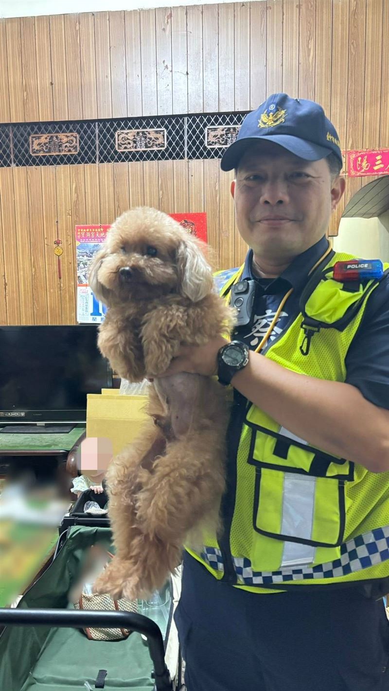 員警們自掏腰包購買狗罐頭、牽繩，輪流照顧牠。（圖／翻攝畫面）
