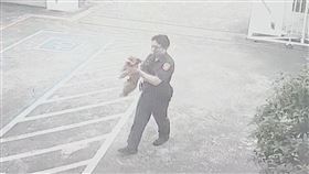 12歲貴賓狗走失了！邊淋雨邊流浪⋯自己跑進派出所「報案」求援