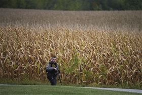 賓州槍擊案事發玉米田。（圖／美聯社／達志影像）