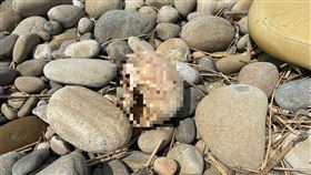 台中大安溪出海口驚見「半顆頭顱白骨」　警採驗送法醫研究所釐清