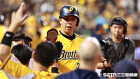 中職36年例行賽，中信兄弟左外野手詹子賢靠岳東華的二壘安打跑回第3分。（圖／記者劉彥池攝影）
