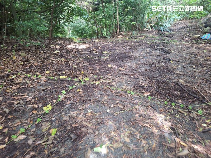 苗栗男獨自前往火炎山區採竹筍後失聯，3天後尋獲遺體。（圖／翻攝畫面）