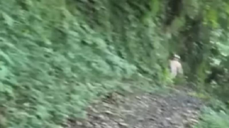 YouTuber菲歐娜前往東眼山徒步健行，遇到一名「GoPro裸男」。（圖／翻攝fiona.__.fifi）