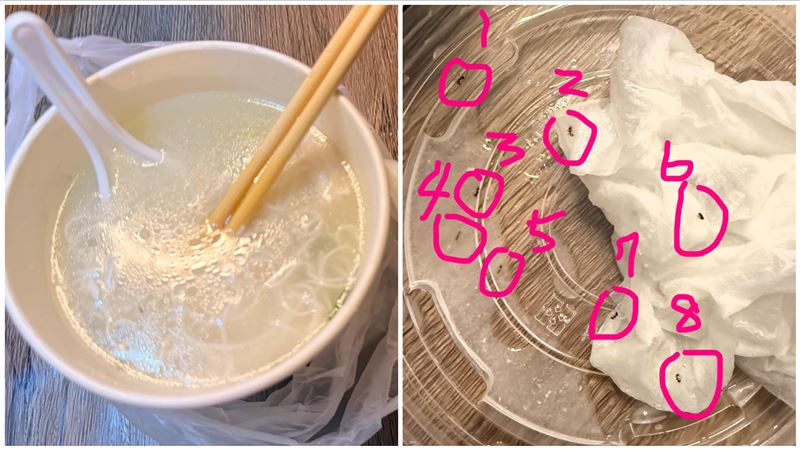高雄劉小姐半夜叫外送，卻喝了一碗螞蟻湯。（圖／翻攝自Thread @bug111833）