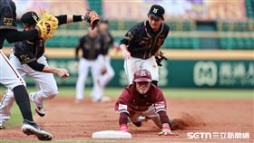 胡金龍引退賽，樂天桃猿中外野手林政華躲過夾殺。（圖／記者劉彥池攝影）