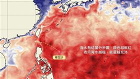 圖中顏色越鮮紅，表示海水越暖、能量越充沛，對颱風發展有利。（圖／翻攝自台灣颱風論壇｜天氣特急臉書）