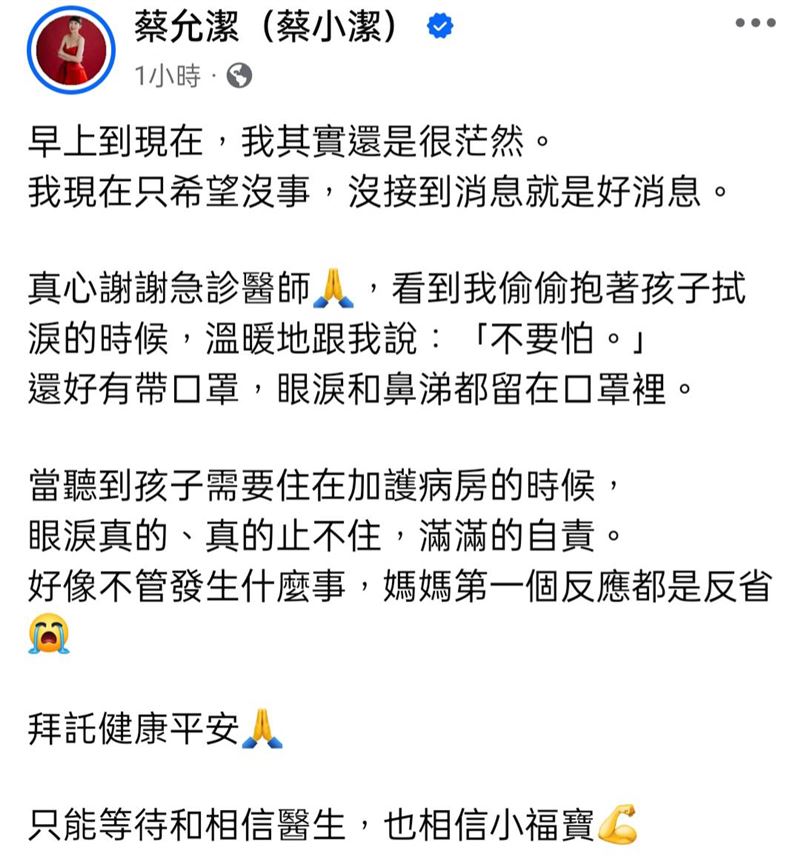 蔡允潔透露兒子住進加護病房。（圖／翻攝自蔡允潔臉書）