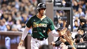 中職36年例行賽，台鋼雄鷹一壘手顏郁軒安打送回魔鷹。（圖／記者劉彥池攝影）