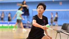 圖片描述。（圖／羽霸盃提供） 