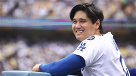 大谷翔平今年在道奇球場炸29轟。（圖／美聯社／達志影像）