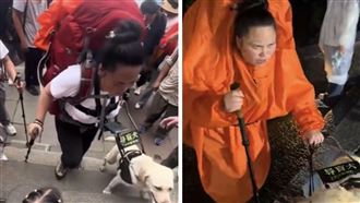 導盲犬陪主人登山　淋濕還被敲打畫面曝光
