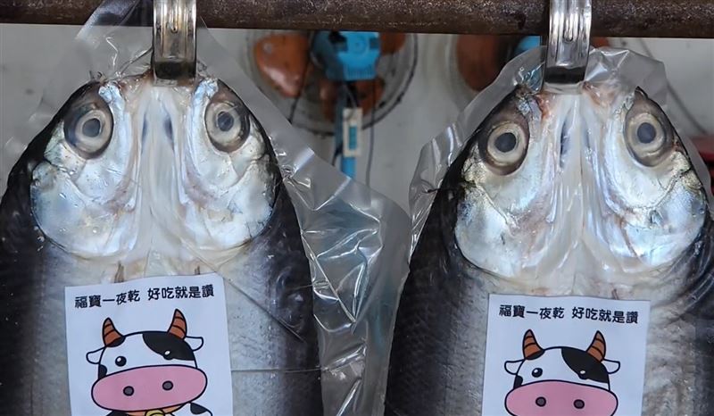 漁民晾曬虱目魚一夜干，沒想到夜裡竟被誤認為貓頭鷹。(圖／翻攝畫面)