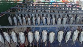 暗夜看到一整排「貓頭鷹」，眼睛發亮，彰化福寶村民，驚嚇喊救命，虱目魚一夜干(圖／翻攝畫面)