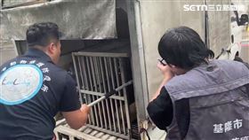 基隆許姓男郵差被咬斷右手無名指，動保所人員將狗帶回收容。（圖／翻攝畫面）
