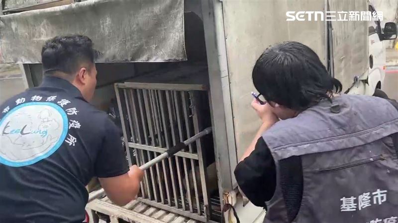 基隆許姓男郵差被咬斷右手無名指，動保所人員將狗帶回收容。（圖／翻攝畫面）
