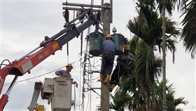 強陣風吹斷配電線路，在接連搶修下，截至18:00復電率已達9成3。（圖／台電提供）