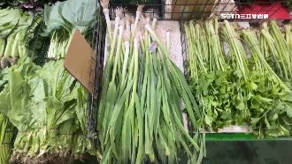 淹水害慘！蔥苗爛光飆天價　業者咬牙苦撐