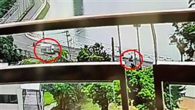 高雄,仁武,鳳山,祖孫,貨車,車禍,澄清湖,農夫快遞