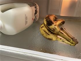 黑香蕉。冰箱內的香蕉。（圖／資料照）