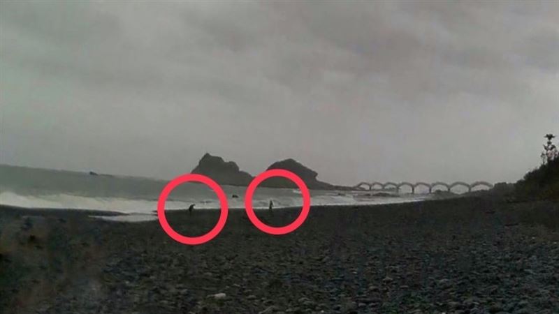 2名男子闖入白守蓮海邊觀浪。（圖／翻攝畫面）