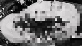 成功嶺二兵打靶爆頭 翻攝記者爆料網