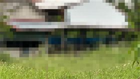 非法養殖場,新埤鄉,屏東,動保團體