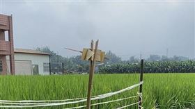 ▲土地公拐。（圖／翻攝自國家文化記憶庫）