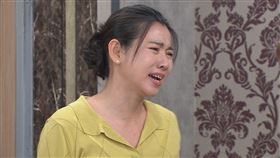 米可白,吳政澔,程雅晨。（圖/民視提供）