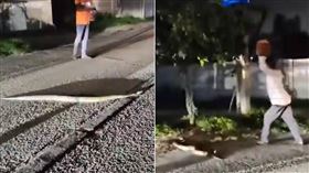 男暴怒搬石砸巨蟒…牠受傷想逃　旁觀者「加入追殺不給活」（圖／翻攝自X）