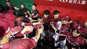 樂天桃猿。（圖／翻攝自IG @rakuten_monkeys
）