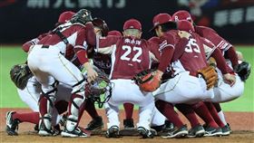 樂天桃猿。（圖／翻攝自IG @rakuten_monkeys
）