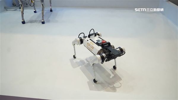 國內首批自主研發AI機器狗