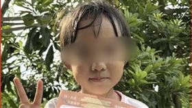 花蓮光復鄉一名6歲女童失蹤，媽焦急淚尋。（圖／翻攝畫面）