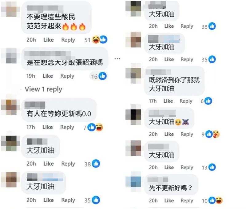 網友一面倒留言，狂酸范瑋琪。（翻攝范瑋琪臉書）