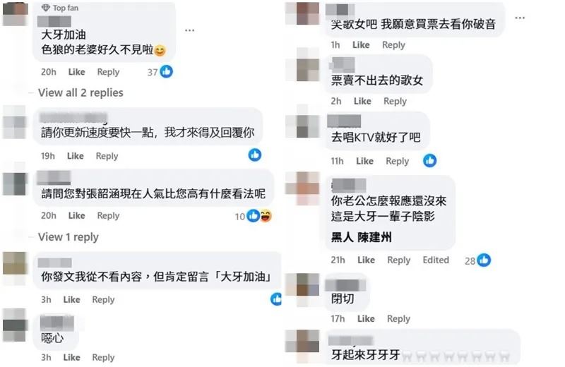 網友一面倒留言，狂酸范瑋琪。（翻攝范瑋琪臉書）