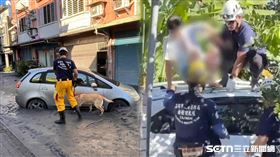 中央災害應變中心,高雄,花蓮縣光復鄉,搜救犬,樺加沙,馬太鞍溪上游堰塞湖,溢流