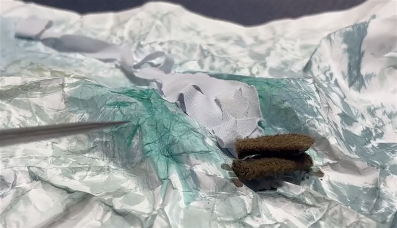 農業部林保署昨發出影片，說明難以用工程手段破壞壩體或引流的原因。（圖／翻攝自林業及自然保育署 臉書）